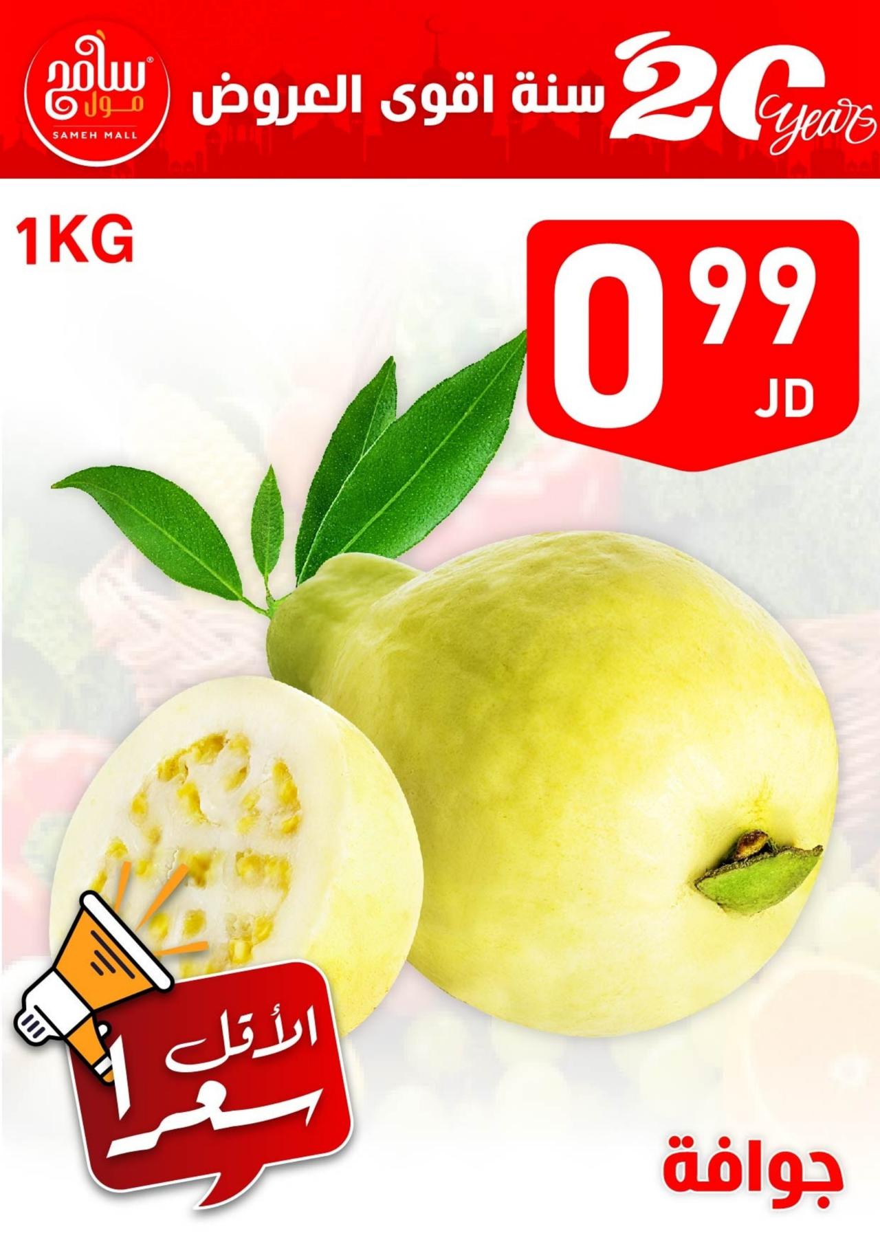 عرض اليوم الواحد